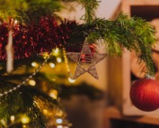 red bauble on tree