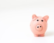 pink pig figurine on white surface